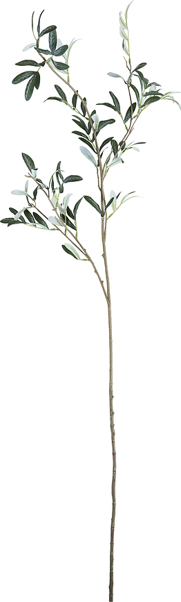 House Doctor Olive Plante artificielle, verte