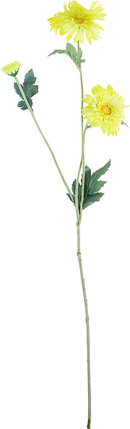 House Doctor Τεχνητό Λουλούδι Γερμπέρα, κίτρινο