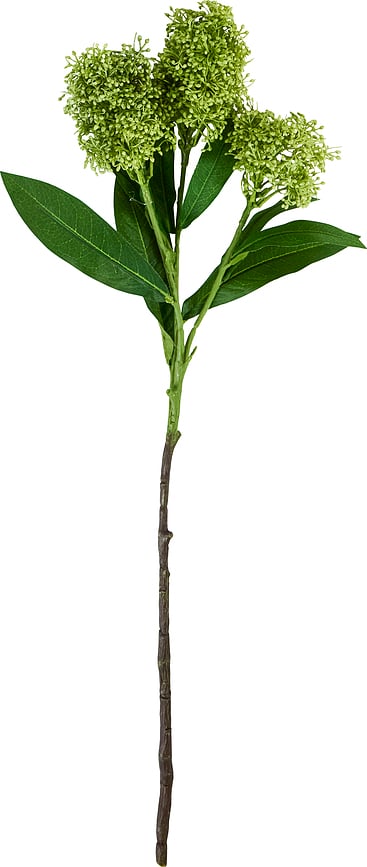 House Doctor Τεχνητό Φυτό Skimmia, πράσινο