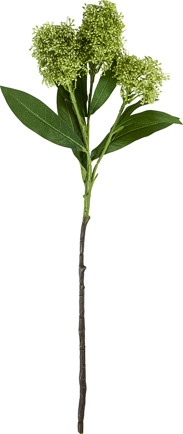 House Doctor Umjetna Grana Skimmia zelena