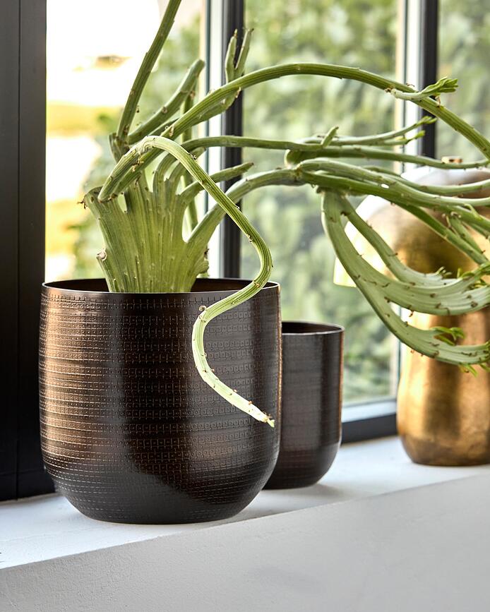 Irene Κασπό, 2 τμχ