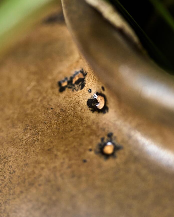 Jarrón Casa, 14 cm, verde