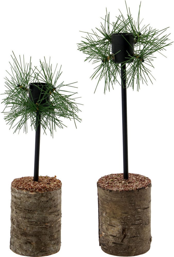 Kings Kerzenständer 25 cm, schwarz, 2 St.