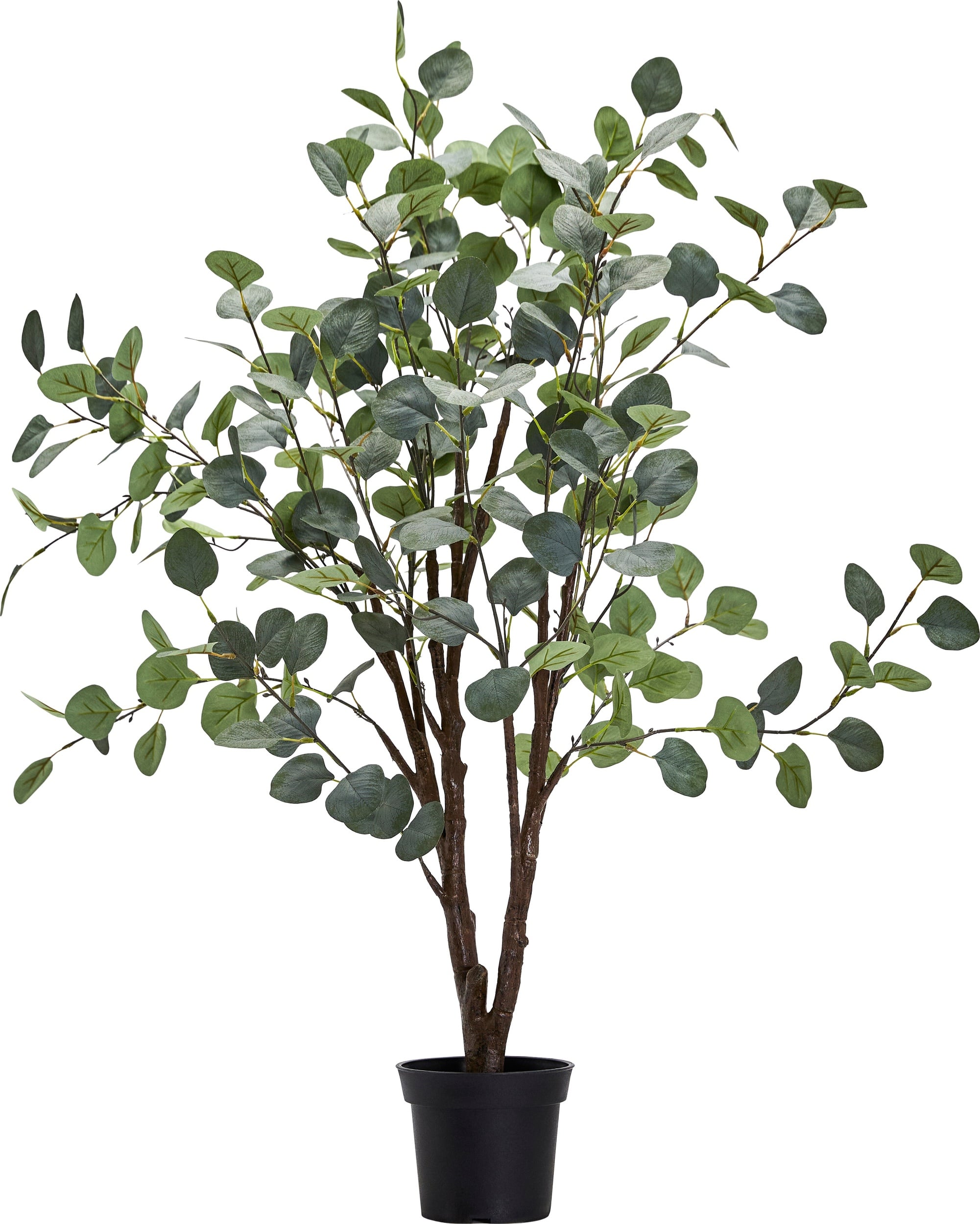 Künstliche Pflanze Eukalyptus 100 cm