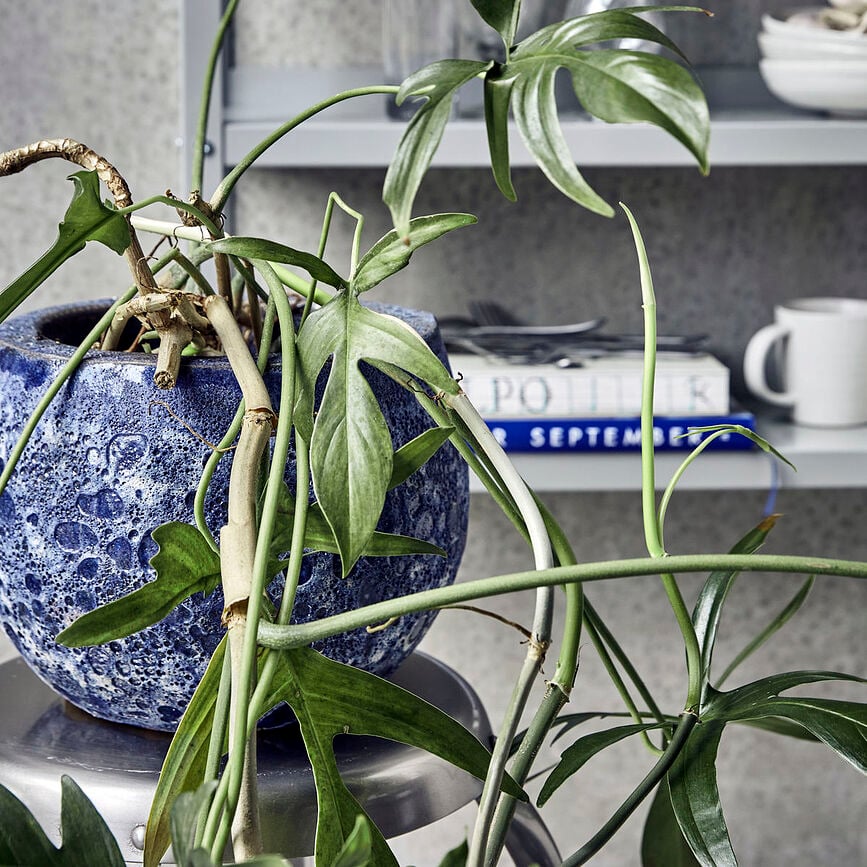 Macetero Pavi, 28 cm, azul