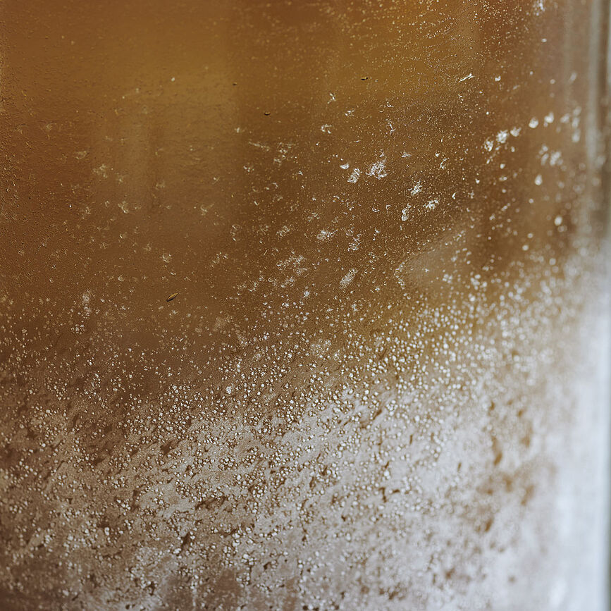 Mist Svečnik majhen, rjav