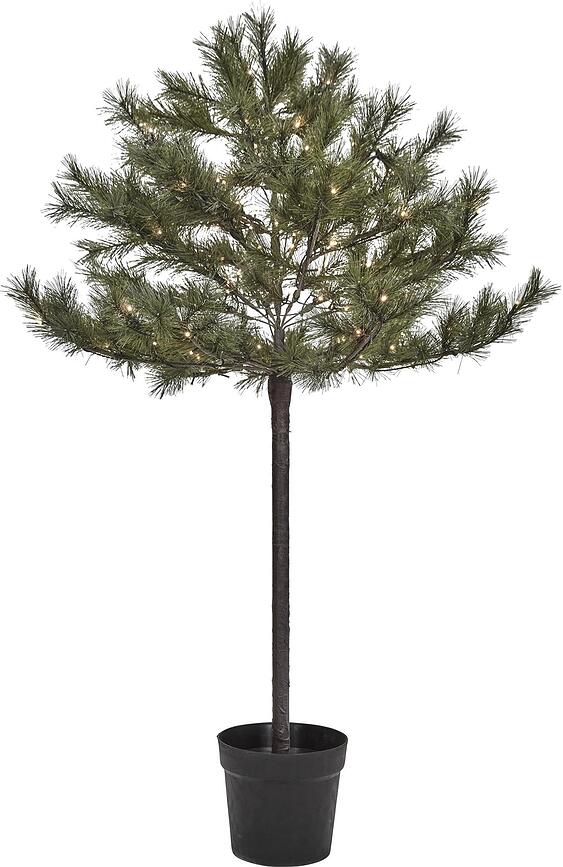 Peuce Božično drevo, 150 cm, LED