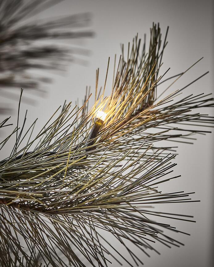 Peuce Božično drevo, 150 cm, LED