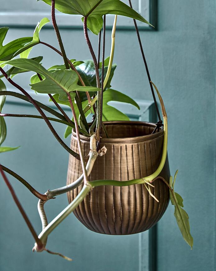 Plan Osłonki za lončke, viseče, zlate, 2 kosa