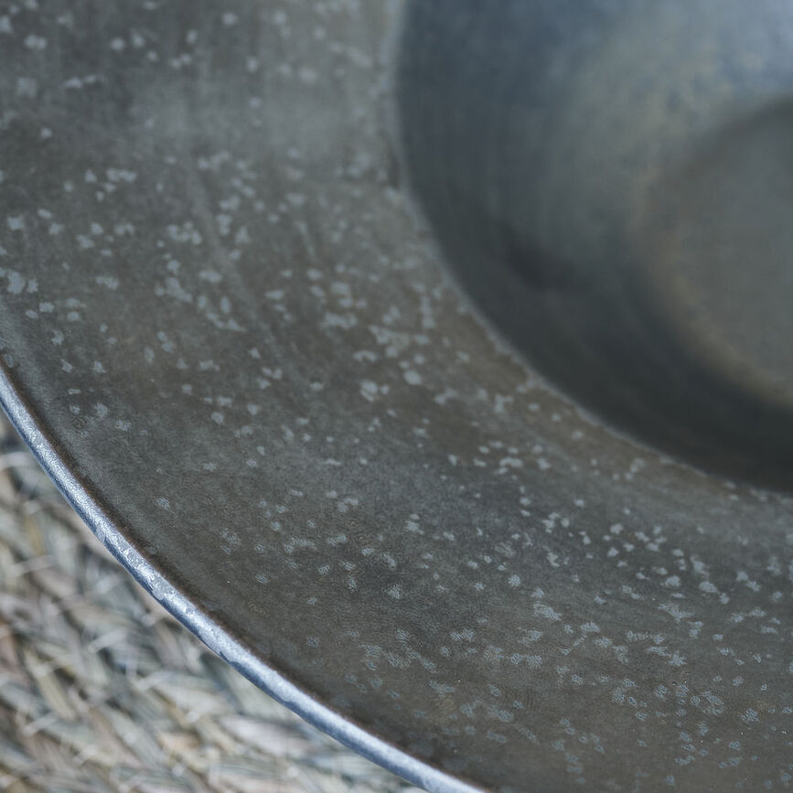 Plato de Pasta Pion, gris y blanco