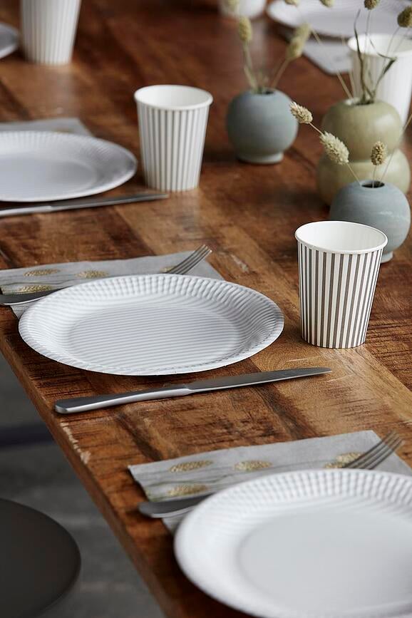 Platos de papel Stribe, beige, 12 unidades