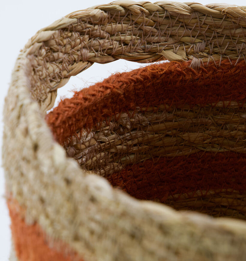 Save Panier de Rangement