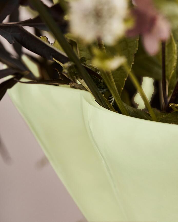 Say Vaz, 21,5 cm, rumen