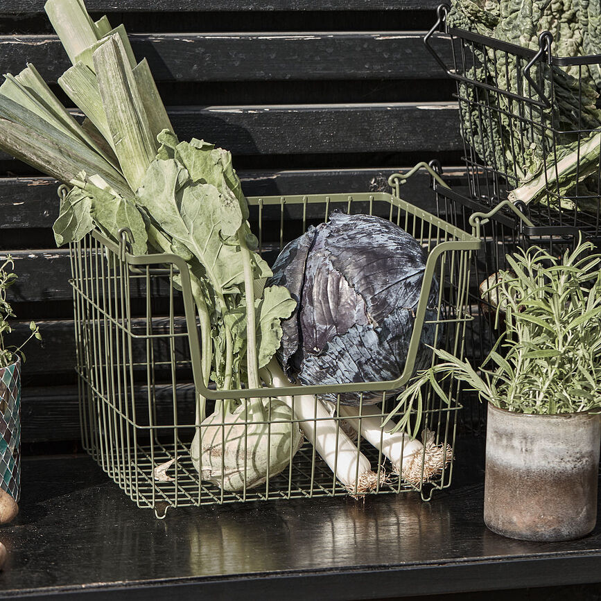 Taw Košara za shranjevanje z ročaji, 23,5 cm, zelena