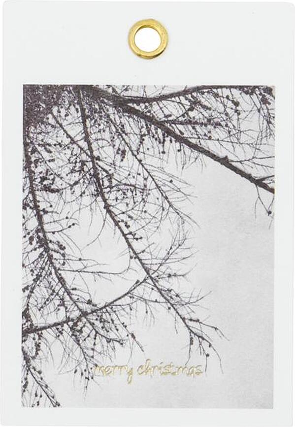 Winter Darilne kartice, 12 kosov