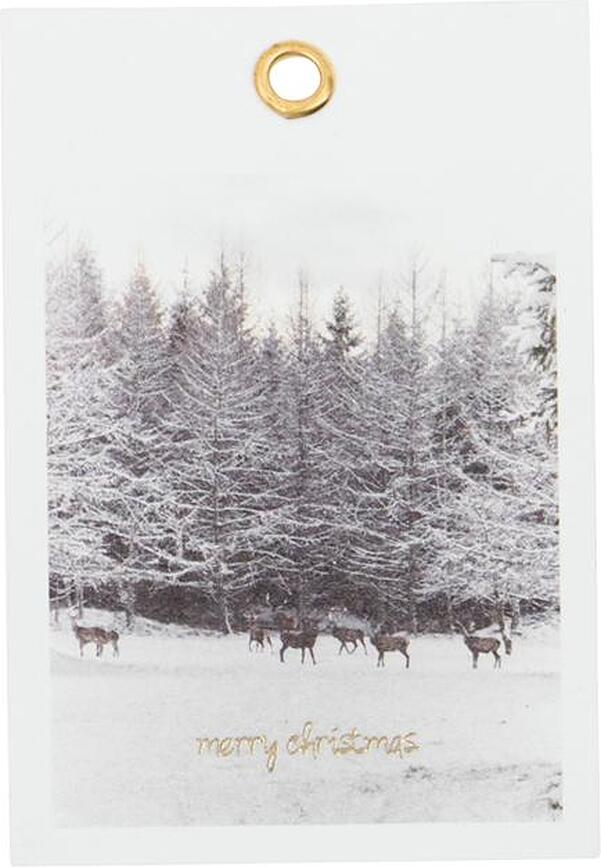 Winter Étiquettes Cadeaux, Lot de 12