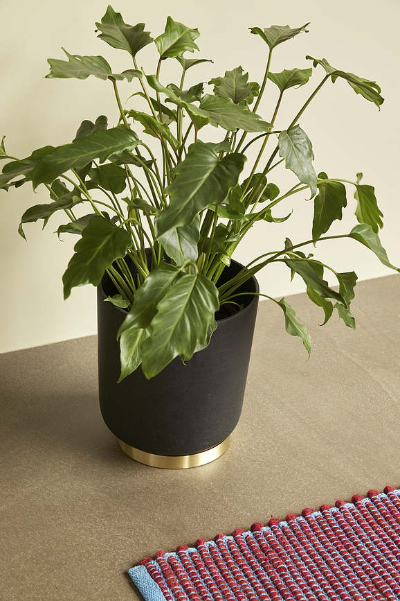 Among Cache-pots, noirs, Lot de 2