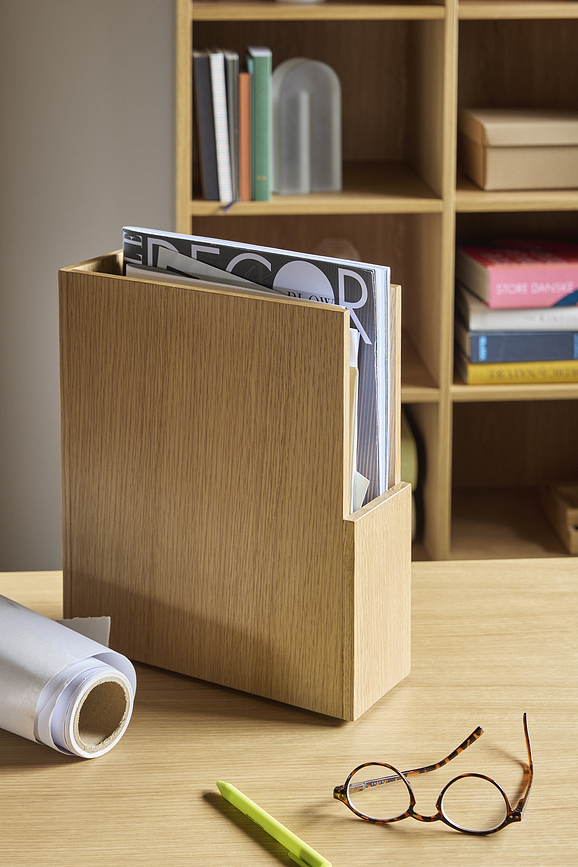 Arkivé Organizator, lesen