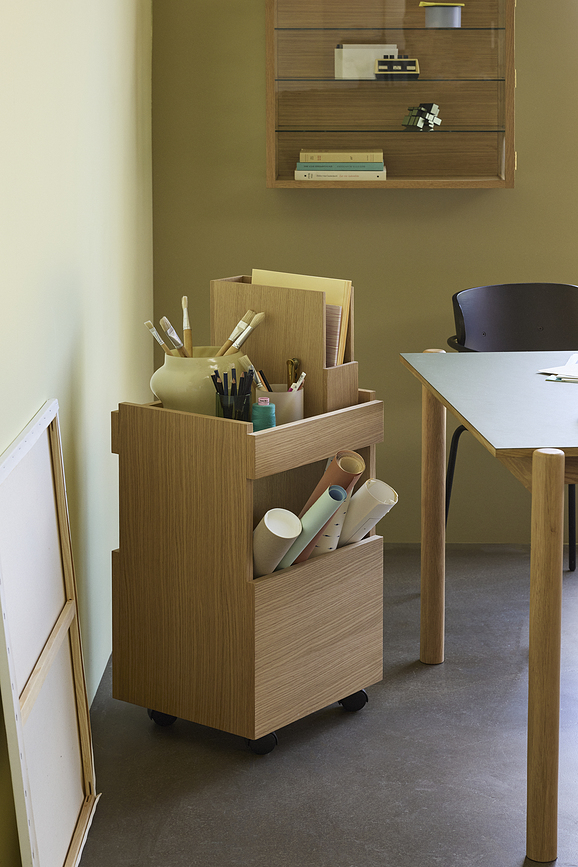 Arkivé Organizator, lesen