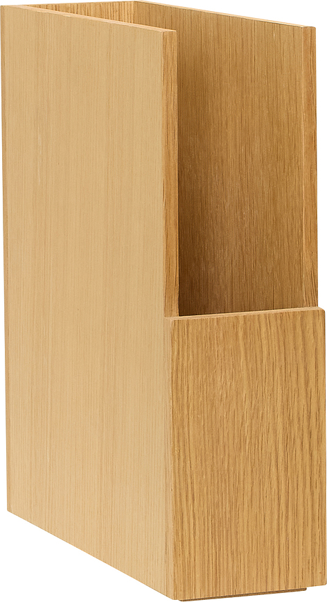 Arkivé Organizator, lesen