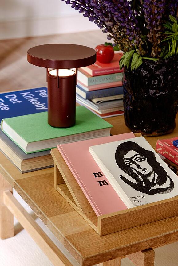 Bookend Knjigostop, lesen