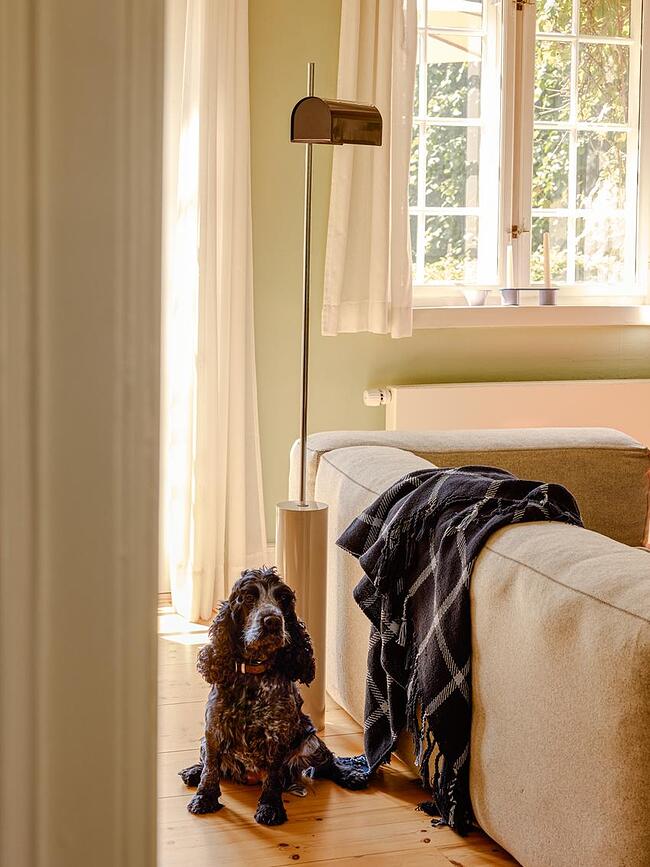 Lámpara de pie Reflector, 160 cm, naranja