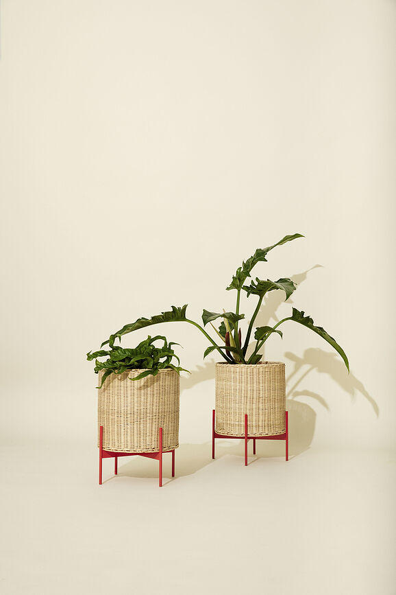 Splint Porte-plante 40 cm
