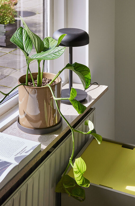 Velo Lampe de Table, noire