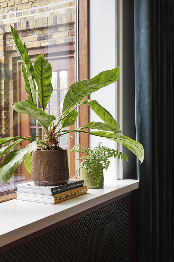 Vibe Κασπώ, πράσινα, 2 τμχ