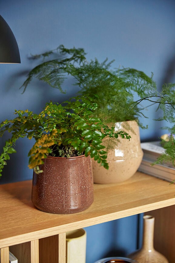 Vibe Tegle za cvijeće pješčane 2 kom.