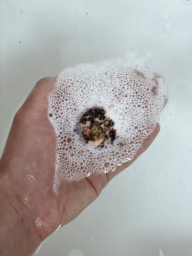 Bombas de Baño Humdakin Creamer, 4 unidades