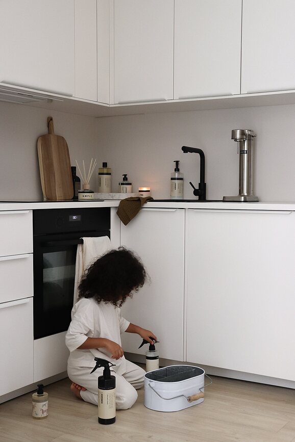 Organizador para productos de limpieza Humdakin System, beige