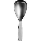 Collective Tools Serving spoon small