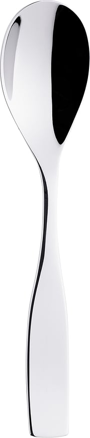 Cuchara de postre Citterio 98, acero pulido