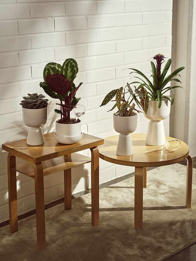 Iittala Kugle za samonavodnjavanje 2 kom.