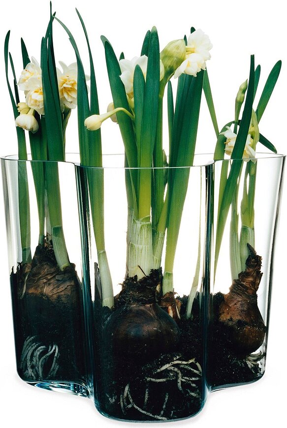 Jarrones Aalto 16 cm + 9,5 cm, 2 unidades