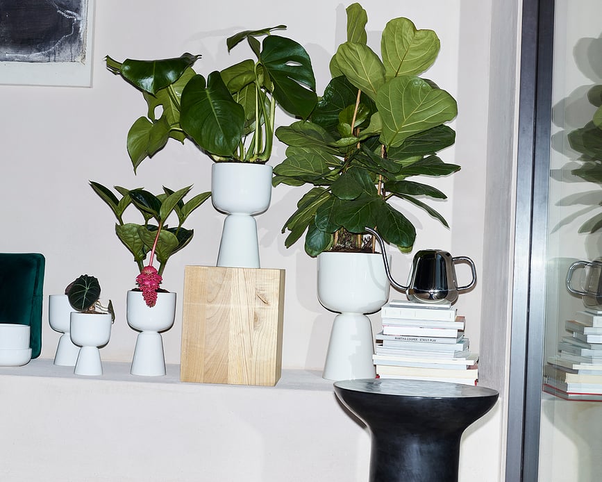 Macetero Nappula 23 x 15,5 cm, negro mate