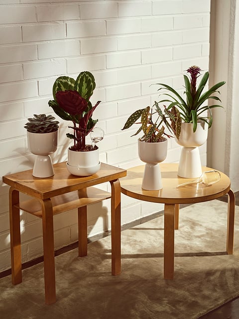 Nappula Blumentopf 13 cm mit Untersetzer - Iittala 1059790