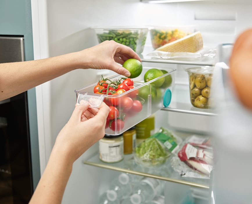 FridgeStore Organizator za hladnjak L transparentni