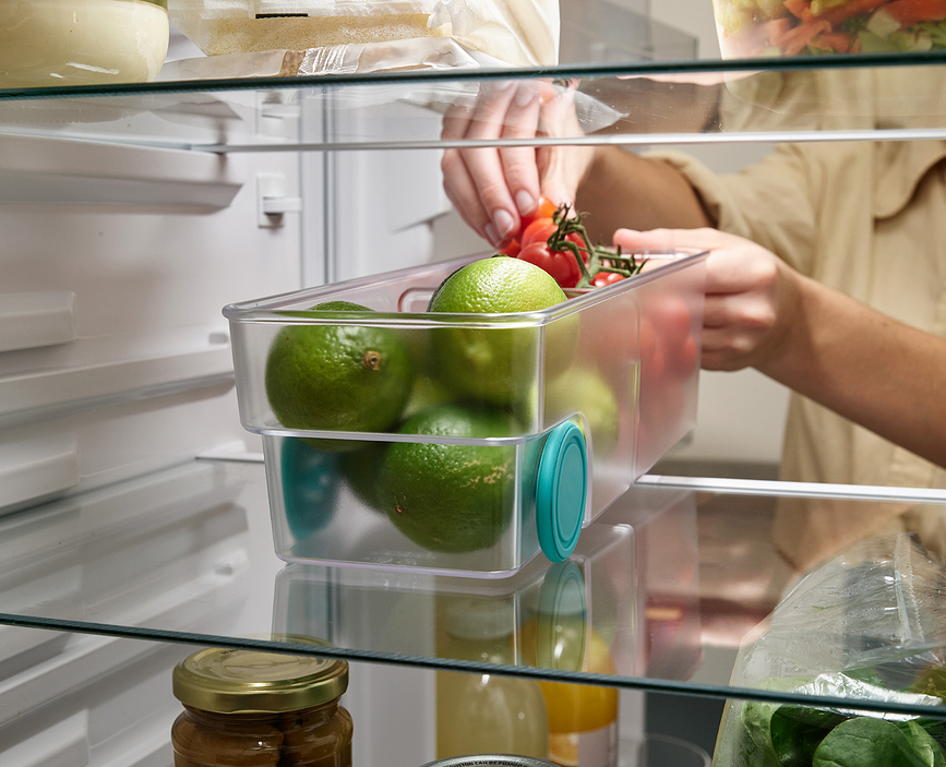 FridgeStore Οργανωτής Ψυγείου S, διάφανος