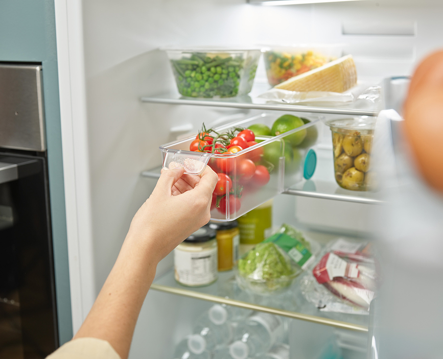 FridgeStore Οργανωτής Ψυγείου S, διάφανος