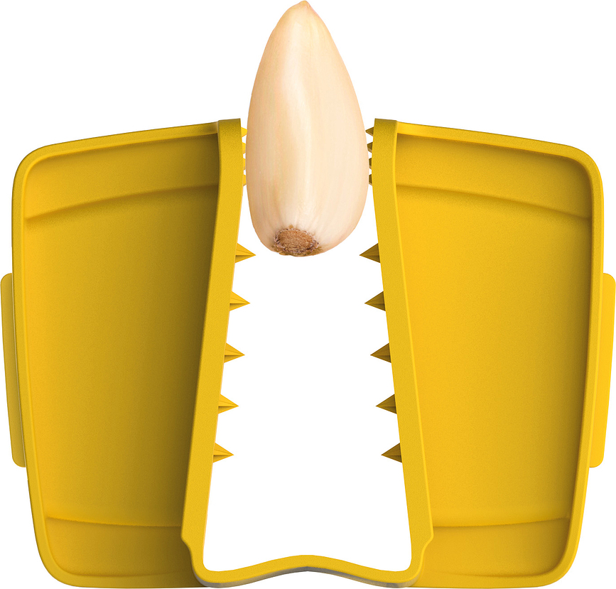 Multi Grip Râpe avec récipient