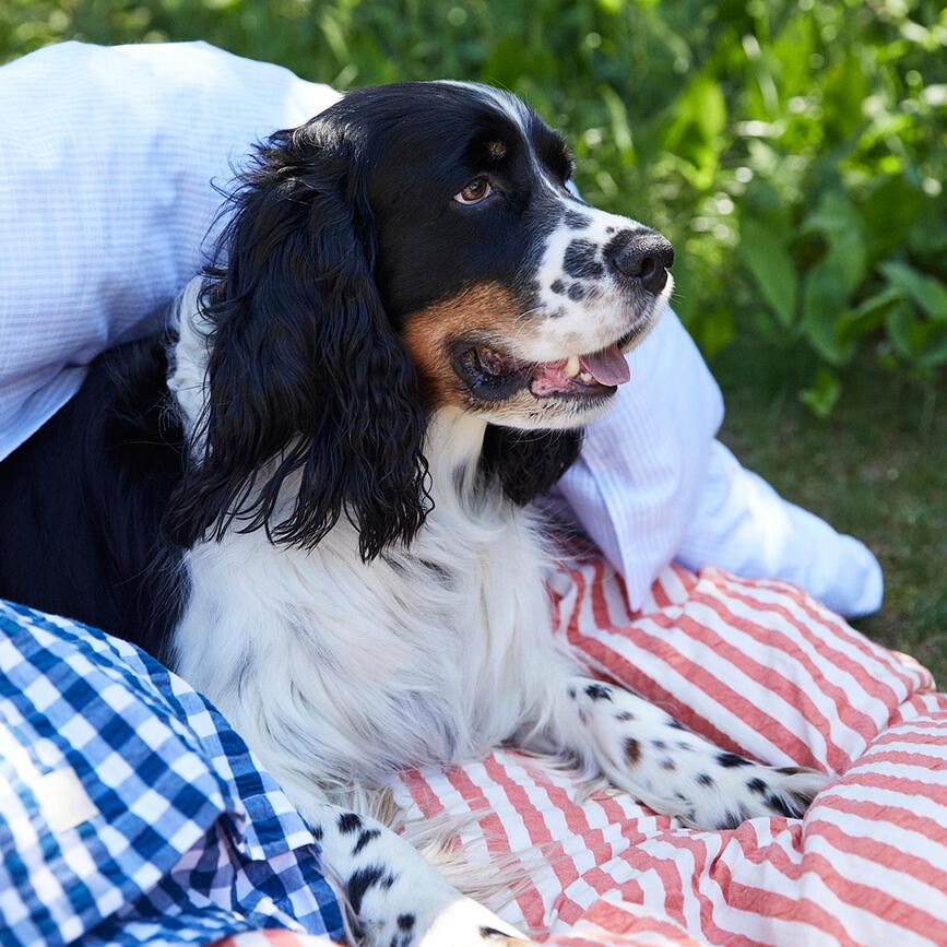 Bæk & Bølge Parure de lit 140 x 200 cm, bleue foncée, avec taie d'oreiller 60 x 63 cm