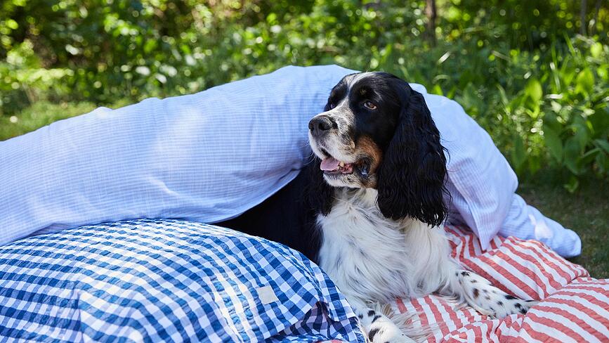 Bæk & Bølge Μαξιλαροθήκη, 50 x 60 cm, σκούρο μπλε