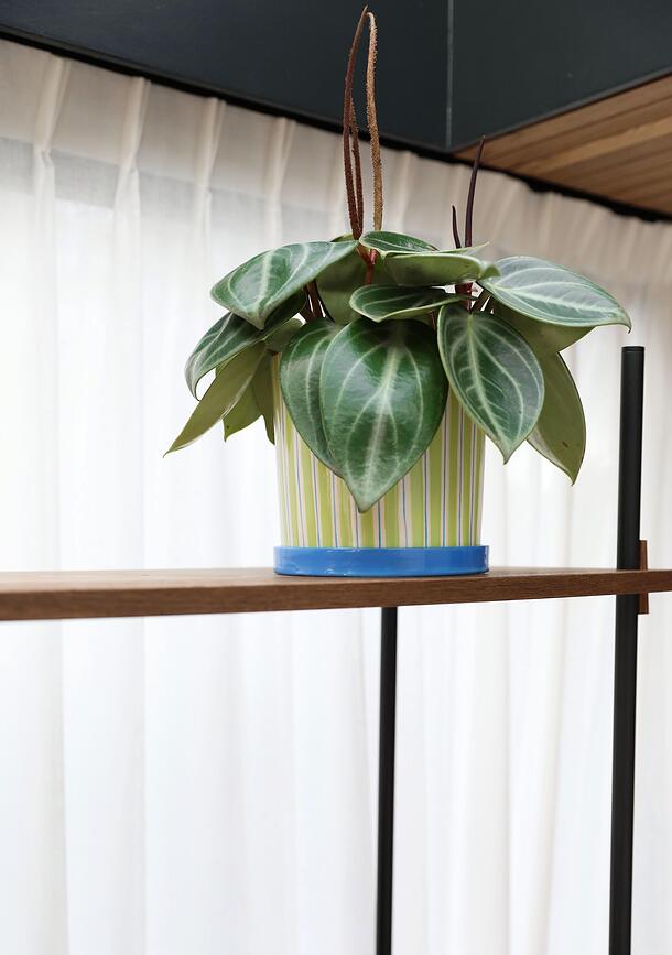 Bloempot met schotel Ray 21,5 cm