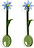 Karotes Flora, zilas, 2 gab.