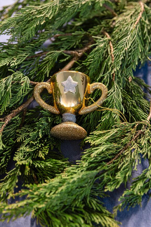 Μπάλα Trophy ασημένια