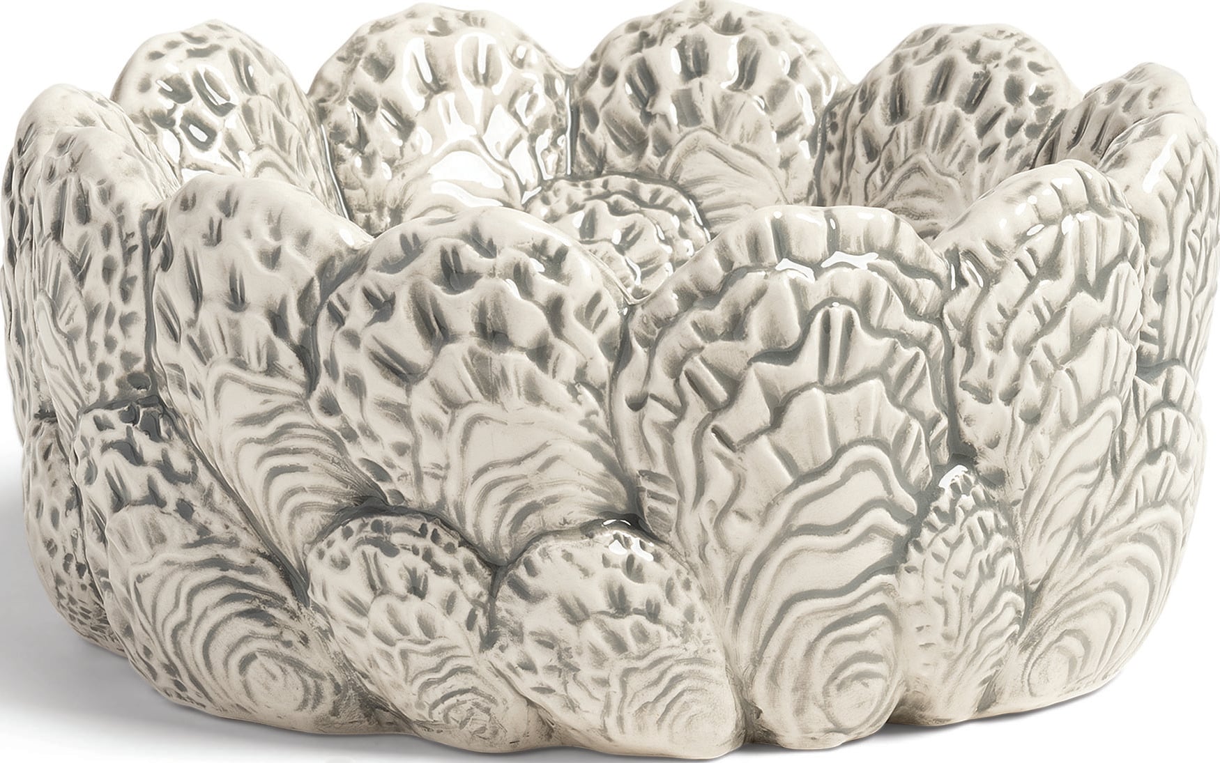 Oyster Schale