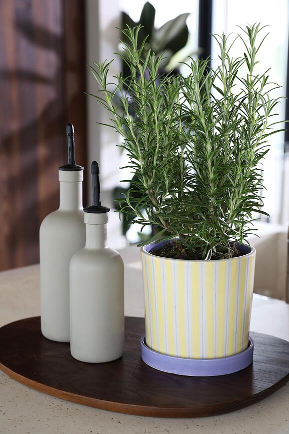 Ray Pot with Saucer 21.5 cm