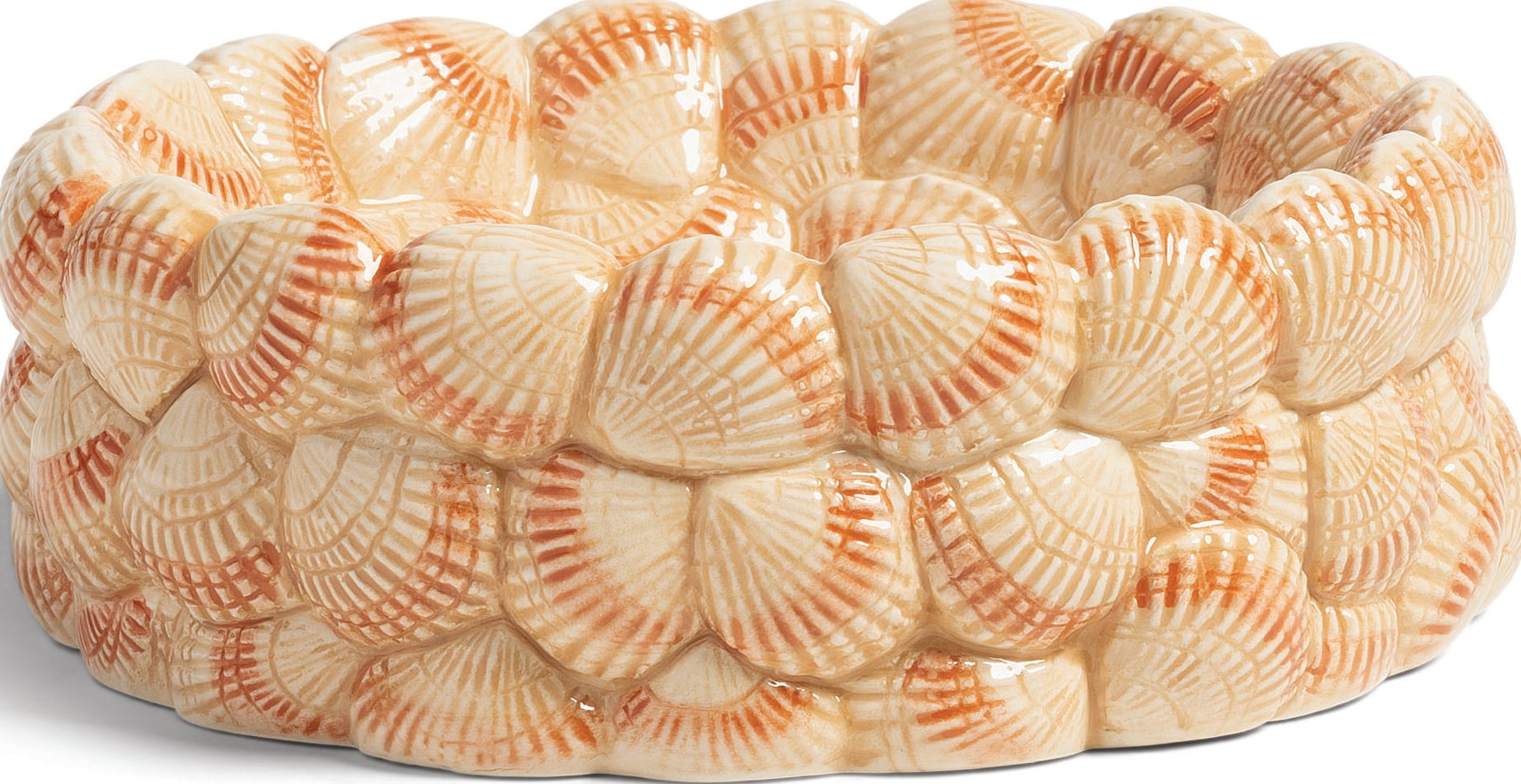 Schale Cockle